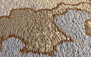 Máquina para Fabricar Alfombras, Pelo en Bucle COLORDOT